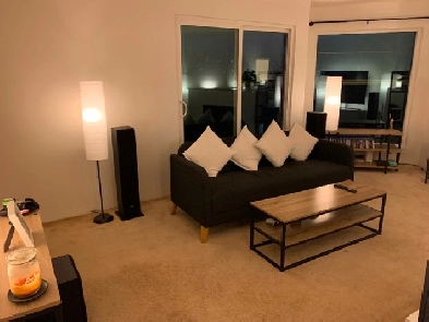 2BR 1 bath furnished apartment in Fairview (W 4th Ave) Image# 8