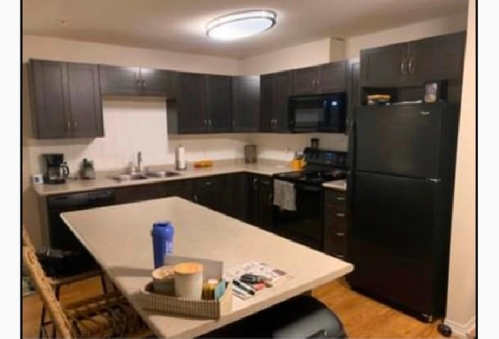 Room for rent in Edmonton,AB - Room Rentals & Roommates