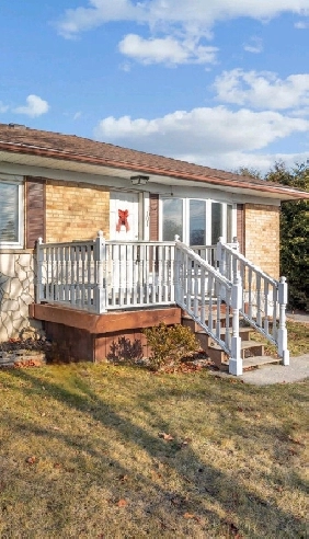 Basement for rent in Newmarket Image# 1