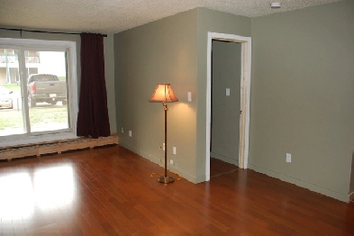Newly Renovated South East Edmonton Apartment Condo for Sale Image# 3