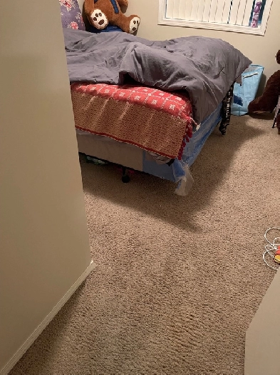 Looking for Indian boy  roommate to live in apartment Image# 1