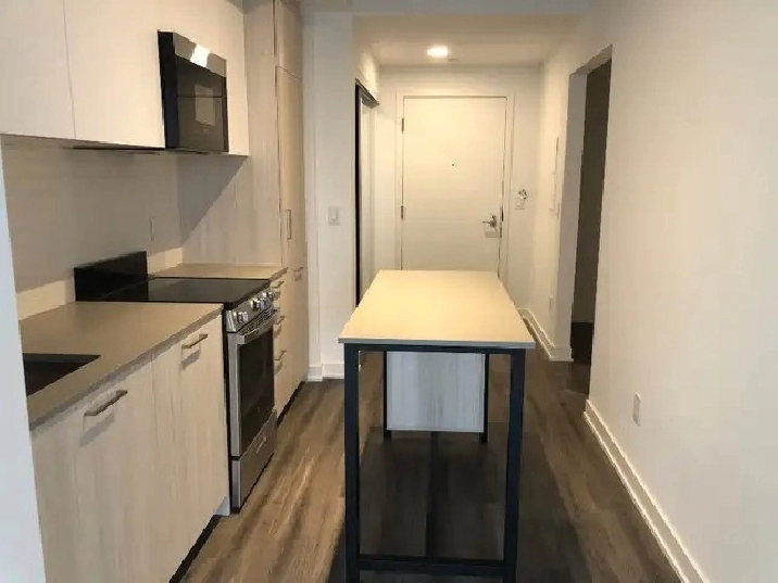 Brand new 2 bedroom 2 bath condo for rent near Yonge/Dundas in City of Toronto,ON - Apartments & Condos for Rent
