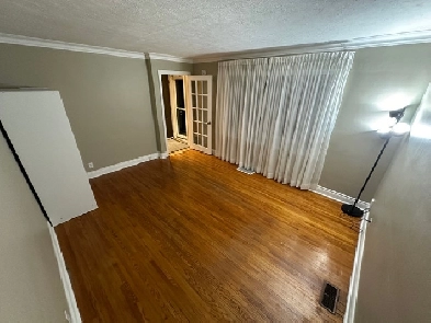 Large Room for Rent in Newly Renovated Home Image# 1