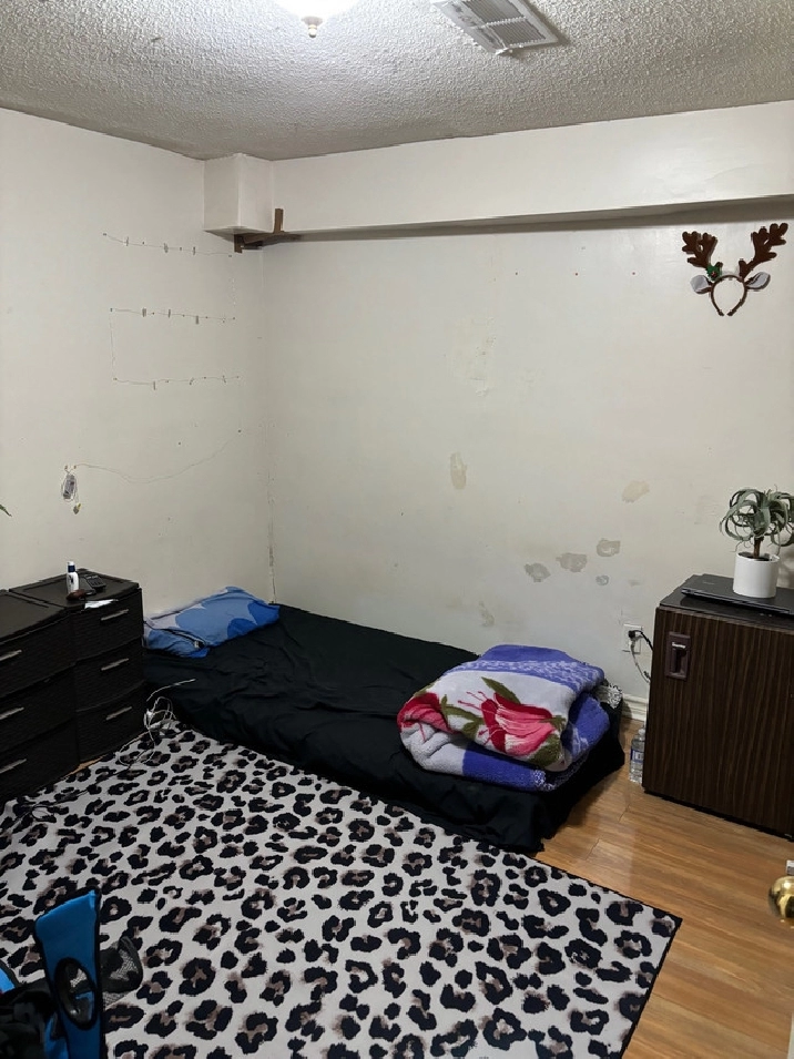 Room rent in Mississauga / Peel Region,ON Apartments & Condos for Rent