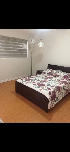 A large fully furnished room for weekly rent Image# 1