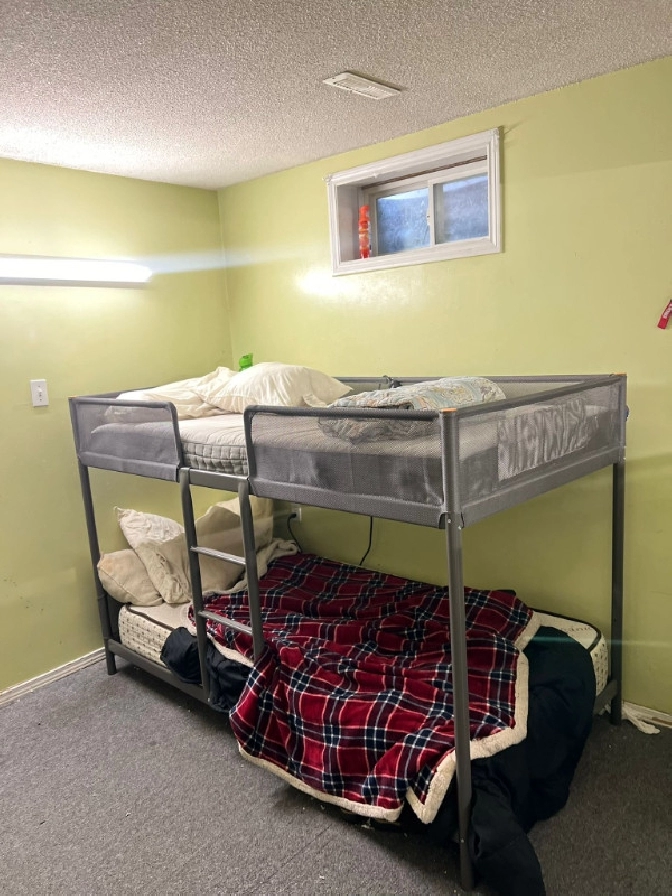 Basement Room for Rent near Humber College in City of Toronto,ON - Room Rentals & Roommates
