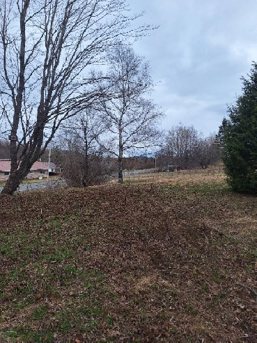 5 acre lot 1 acre cleared with well Image# 1