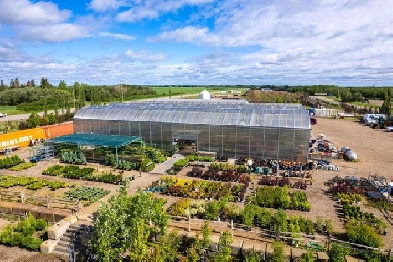 Well Established Greenhouse for Sale - Lloydminster, Sask Image# 1