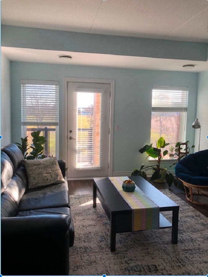 Room for Rent U of Guelph in Guelph,ON Room Rentals & Roommates