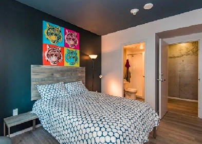 Room for rent in Little Italy! Image# 1