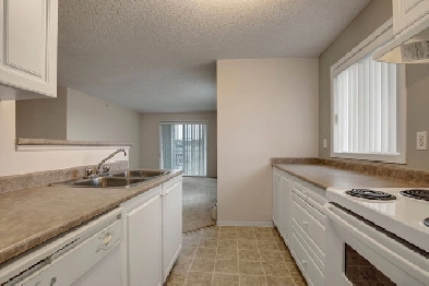 2 Bedroom Apartment Available May 6th! Image# 1