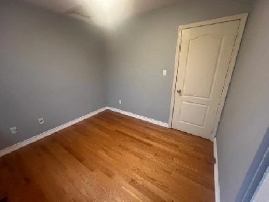 Room for Rent in Scarborough Image# 1