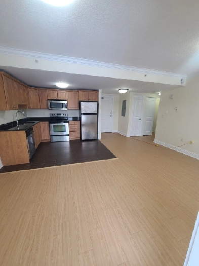 Fantastic One Bedroom at The James- Perfect South End Location! Image# 1