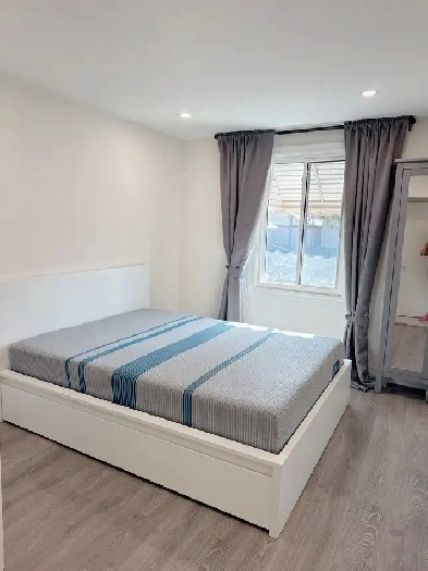 Dufferin and Eglinton room rental - newly renovated, female only Image# 2