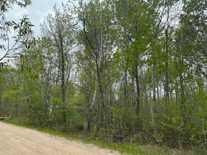 25 South Bay, Lakeshore Heights - Beautiful well treed property! in Winnipeg,MB - Land for Sale