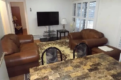 One bedroom furnished  apartment for rent Image# 1