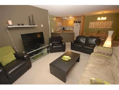 2 Bedroom 2 full bath upgraded condo from 1st June Image# 2