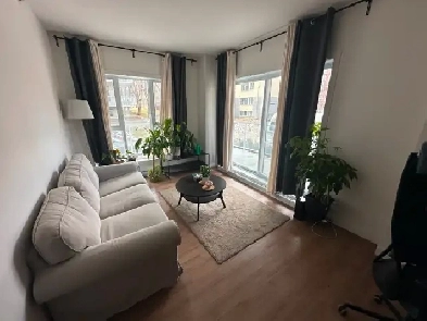 One bedroom apartment for rent in Quebec City Image# 2
