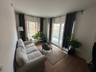 One bedroom apartment for rent in Quebec City Image# 3