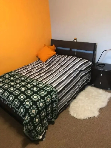 Room for Rent near U of A - Summer months available Image# 1