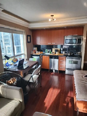 Condo Studio, furnished, long or short term, Yonge and Sheppard Image# 1