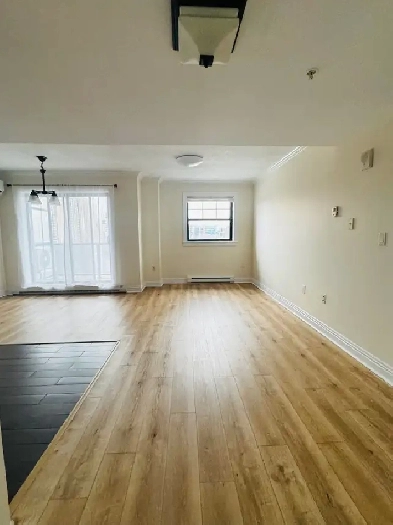 One bedroom in downtown Halifax near the University's/ Hospitals Image# 2
