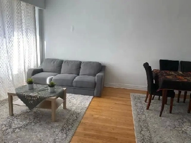 Two bedroom apartment for rent 4 1/2 Image# 7