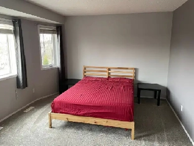 Room for rent in Leduc Image# 1