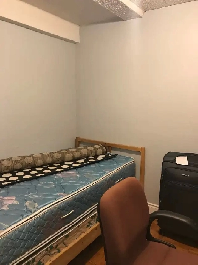 Private room furnished Bramalea Mall walk out basement apartment Image# 1