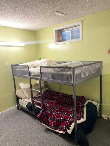 Basement Room for Rent near Humber College Image# 1