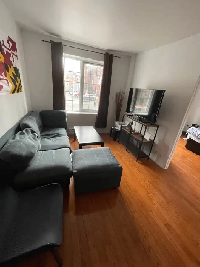 $1 350 / 1br - Apartment For Lease ( Downtown Montreal) Image# 1