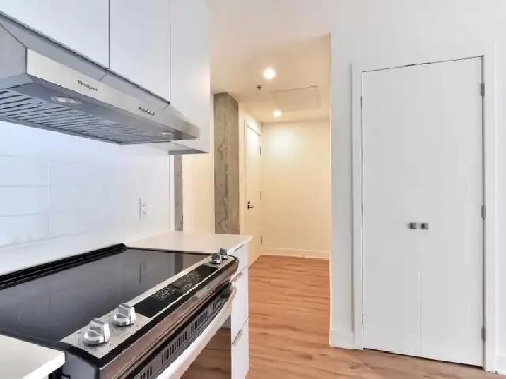 Condo 3 1/2 à louer-Apartment for rent-Ville Marie-Berri UQAM in City of Montréal,QC - Apartments & Condos for Rent