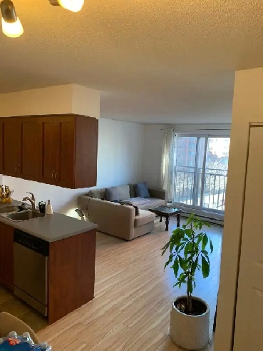 1 Bed Modern Condo - 1225 Notre Dame Ouest Image# 1