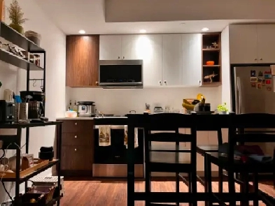 Short term lease transfer: 1 BR apartment in Ottawa Image# 1