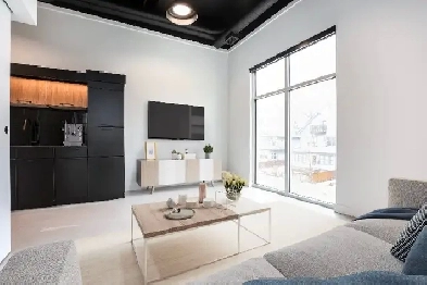 Modern 1 Bedroom Loft Apartment in West Broadway for Rent! Image# 2