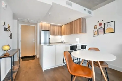 Griffintown Luxe condo 3 1/2, 531 SF, on 15th floor water view Image# 1