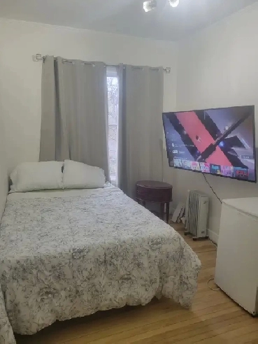Furnished room - Steps from Elgin and the Canal - 55' LED 4K TV Image# 1