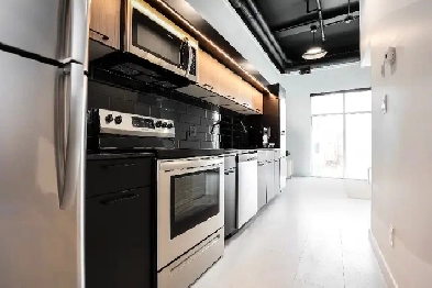 Luxury 1 Bedroom Loft Apartment with Fitness Center for Rent! Image# 1