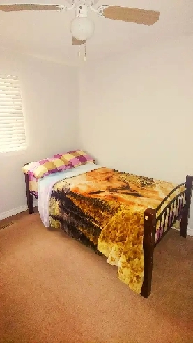 1br - Private Room Available June 1 (Scarborough) Image# 1