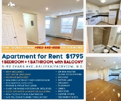 One Bedroom with Balcony Apartment for Rent Image# 1