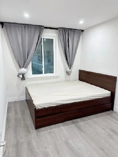 Dufferin and Eglinton room  for rent - newly renovated, female o Image# 1