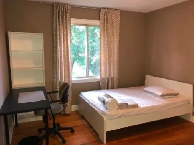 Room rent near Algonquin college(Walking distance, Female only) Image# 1