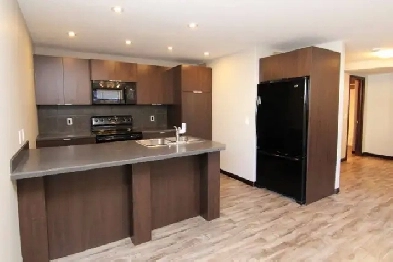 1 Bdr Lower Suite in Harbour Landing Available June 1 Image# 2