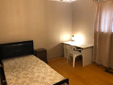 Furnished Room for Male on Main Floor at Bellamy Rd /Lawrence Av Image# 1
