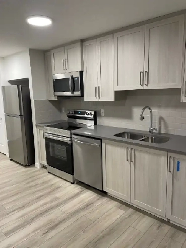 Newly Built  Legal Basement (2 bedrooms) for Rent in SE Calgary Image# 2