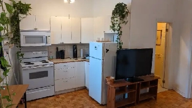One Bedroom Apartment Near Bloor West Village and the Junction Image# 1