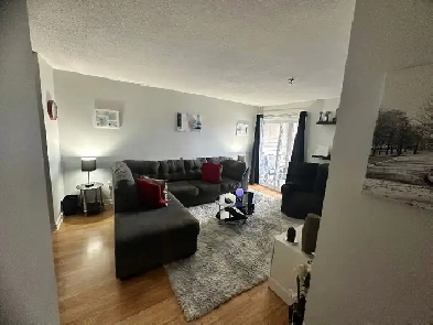 2 beds 1.5 bath apartment in Clayton Park (1 Year sublet) Image# 1