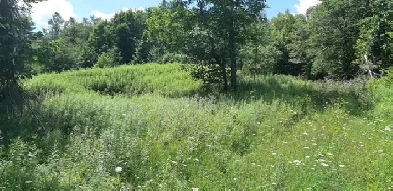 2 Acre Lot in the Gatineau Hills Image# 1