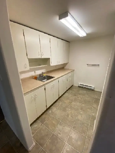 Spacious 2 Bedroom Basement Suite for Rent in Steinbach! Image# 1