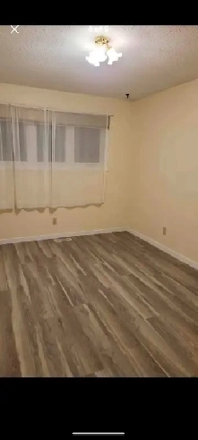 Large room for rent Image# 3